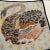 Textile 1980s Swan Motif Silk Carrè Scarf by Ferragamo For Sale - Image 7 of 12