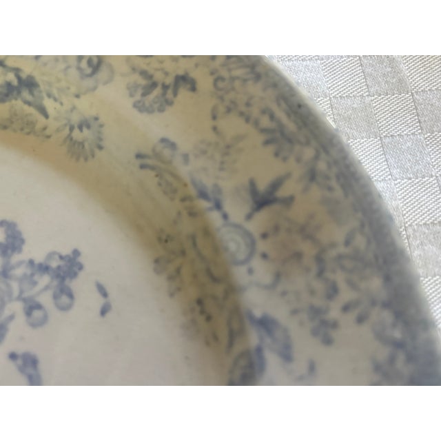 Mid 19th Century Asiatic Pheasant Dinner Plate For Sale - Image 9 of 12