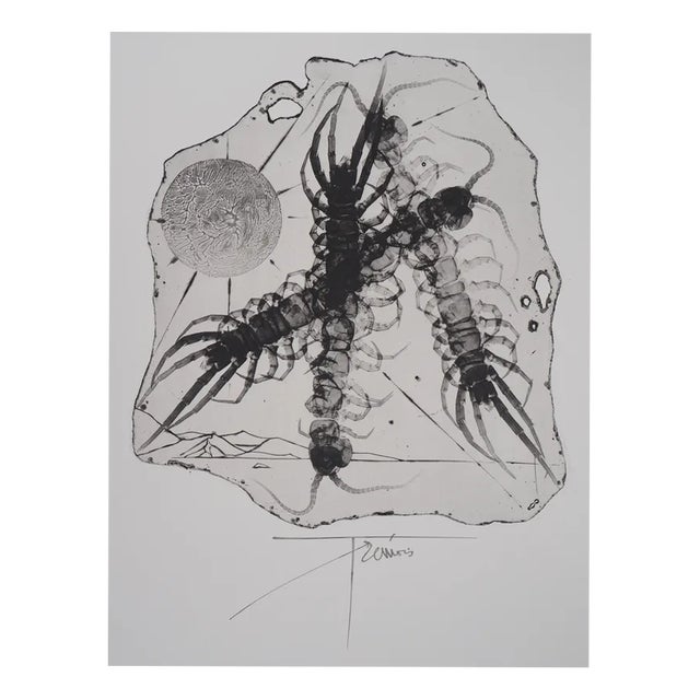 Pierre-Yves Tremois, Plankton, Etching For Sale