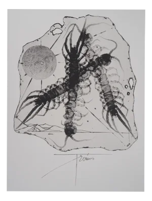 Pierre-Yves Tremois, Plankton, Etching