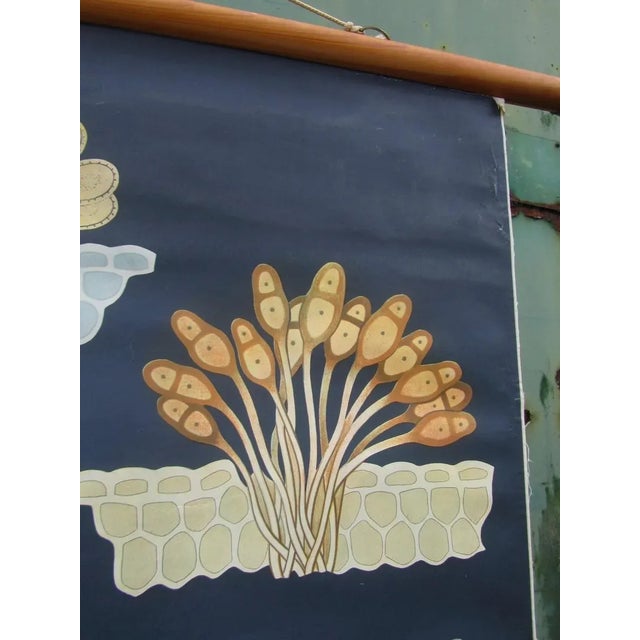 This school chart depicting wheat rust (Latin: Puccinia Graminis, German: Echter Getreiderost) was designed by Jung, Koch...