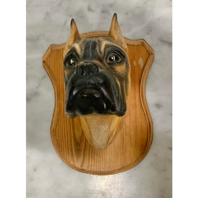 Mid 20th Century Vintage German Friedel "Panopticum Animale" Boxer Dog, Matte Ceramic Bust Wall Plaque For Sale - Image 5 of 9