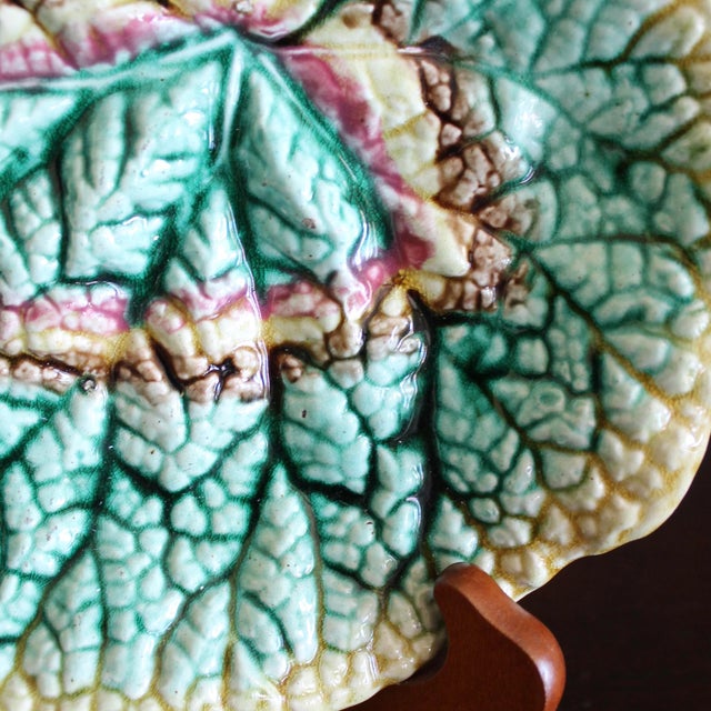 Begonia Majolica English Leaf Plate With Stand For Sale - Image 4 of 7