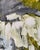 Abstract Olive Storm by Robbie Kemper For Sale - Image 3 of 8