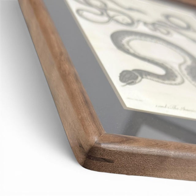1802 Framed Antique Snake Engraving After Seba | Dark Academia Natural History Wall Art For Sale In Columbus - Image 6 of 7