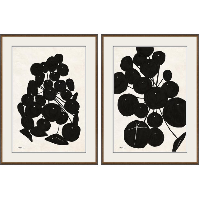 Hable Sedum Cluster I and II by Susan Hable For Sale - Image 4 of 4