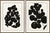 Hable Sedum Cluster I and II by Susan Hable For Sale - Image 4 of 4
