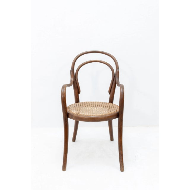 Antique Children's Armchair from Thonet, 1905 For Sale - Image 14 of 14