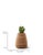 Tuber Planter in Wood by Haldane Martin for Indigenus For Sale - Image 13 of 16