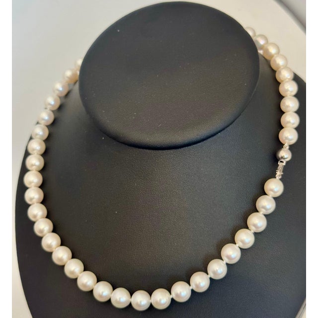Vintage Cultured Akoya Pearl Necklace Length 17" , 18 Karat White Gold Clasp For Sale - Image 18 of 18