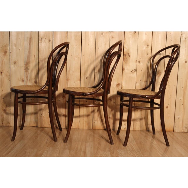1900 - 1909 Antique Angel Wing Model Bistro Chairs by Hofmann, 1900, Set of 6 For Sale - Image 5 of 9