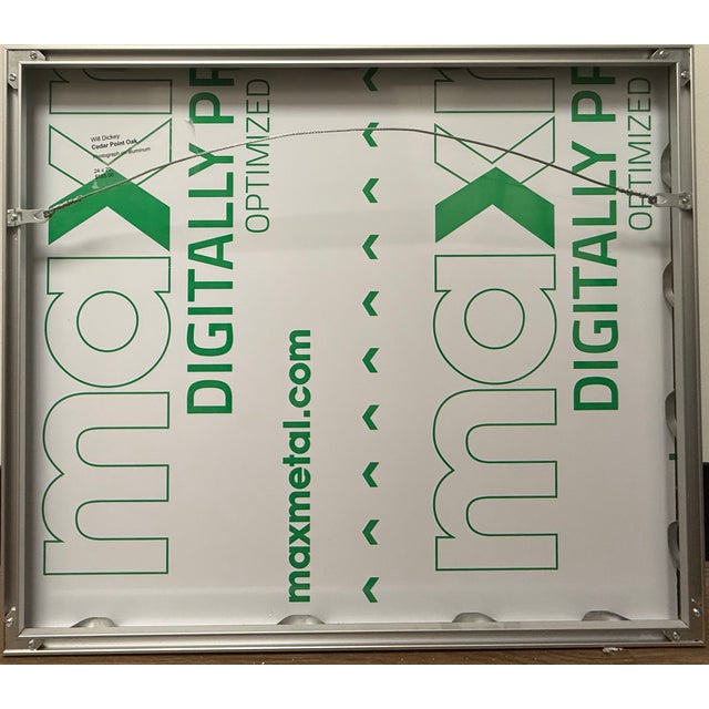 Metal 21st-Century, Untitled, Color Photograph of Sunlit Path Under Live Oak Branches Framed, Artist Will Dickey For Sale - Image 7 of 7