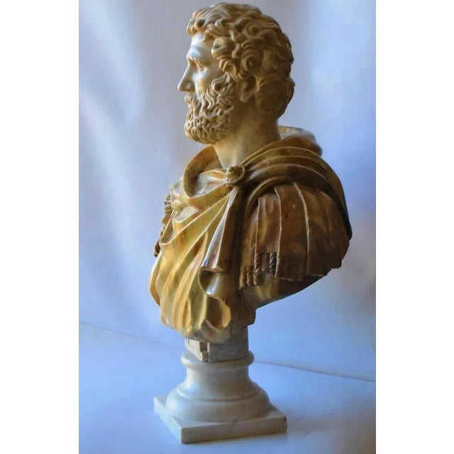 End 19th Century Italian Bust Antonino Pio in Carrara Marble For Sale - Image 5 of 7