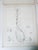 Mid 19th Century Us Pacifc Railroad Botanical Lithograph Book Plate - Set of 6 For Sale - Image 10 of 10