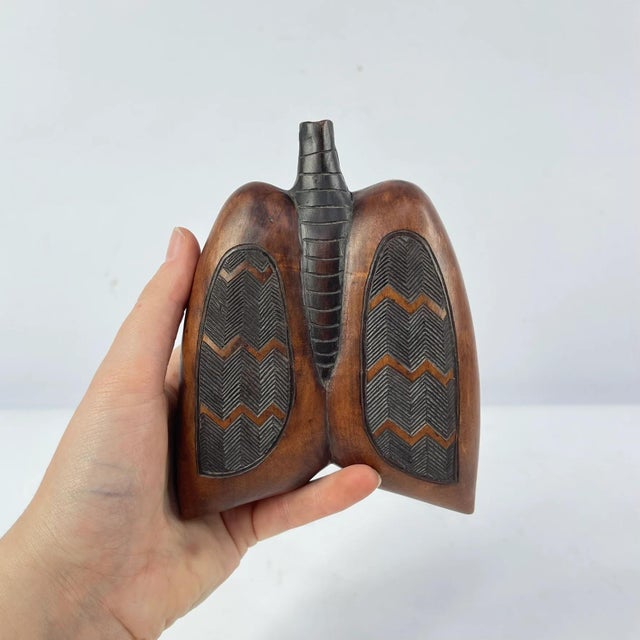 Wood Early 20th Century Kuba Butterfly Lung-Shaped Box MATTER COLLECTION For Sale - Image 7 of 8