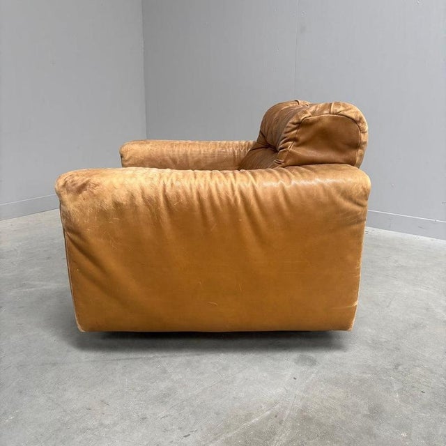 Vintage DS40 Lounge Chair from De Sede, 1970s For Sale - Image 13 of 14