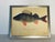 Antique German Chromolithograph of Fish by T. Tillman, framed.