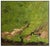 Modern Late 20th Century Spring Blossoms, Ming Feng For Sale - Image 3 of 4