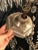 Transparent Vintage Ten Arm Nickel and Crystal Chandelier For Sale - Image 8 of 13