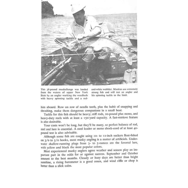 "Spin-Fishing: The System That Does It All" 1973 Strung, Norman and Rosko, Milt For Sale In New York - Image 6 of 12