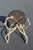 Attributed to Arthur Court Antler Side Chair 1970s For Sale - Image 16 of 18