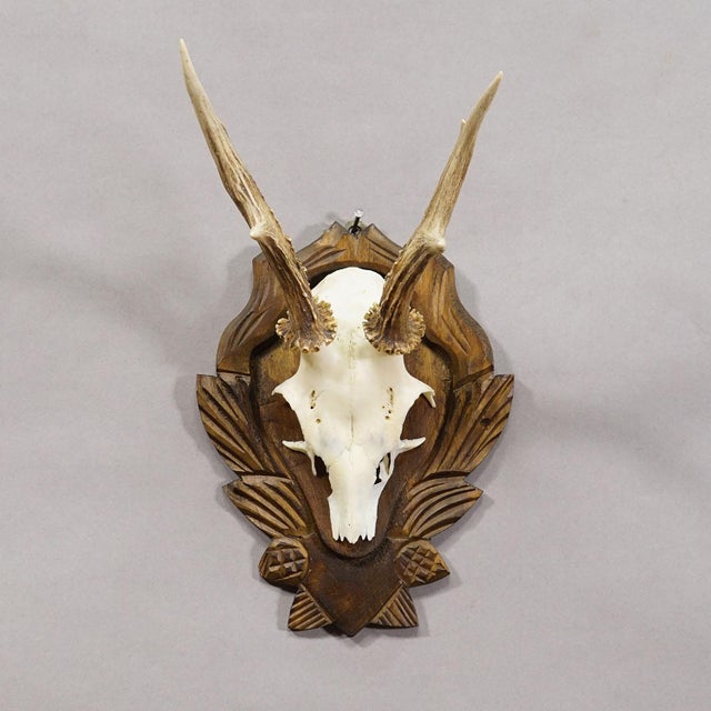 Black Forest Vintage Roe Deer Trophy on Carved Plaque 1940s For Sale - Image 4 of 5