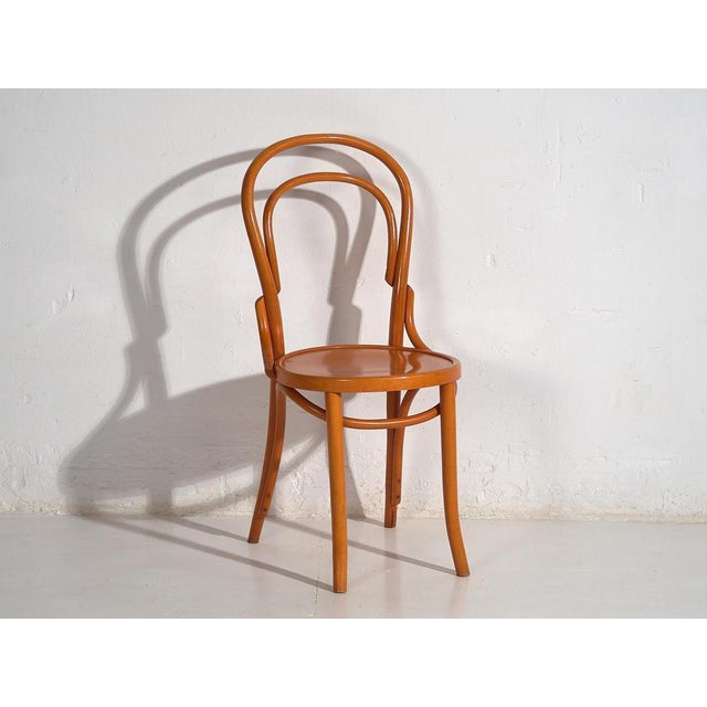 Wood Chairs from Thonet, 1920s, Set of 4 For Sale - Image 7 of 17