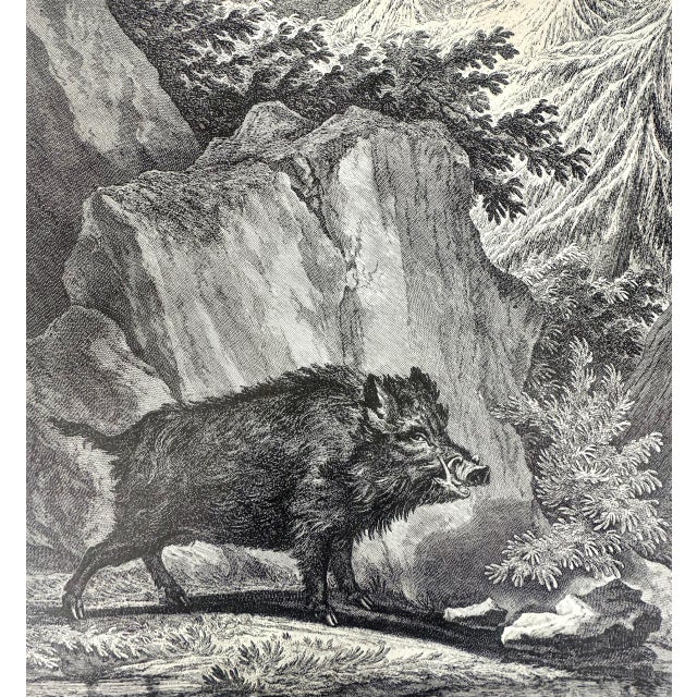 Johann Elias Ridinger, Wild Boar, Etching, 18th Century, in Very Good conditions. Designed before 1890 This piece has an...