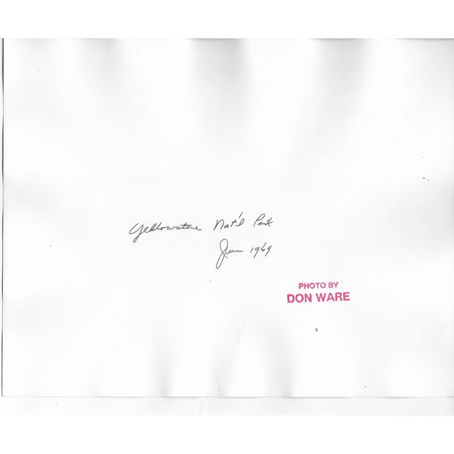 1972 black and white photograph by Los Angeles photographer Don Ware of a Hawaiian beach. Title, dated and bearing Ware's...