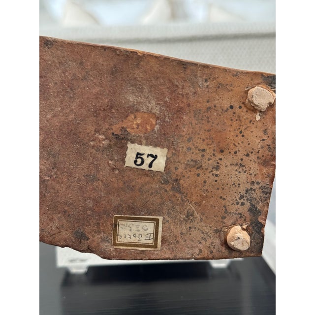 Ceramic Set of Four Italian Grand Tour Terracotta Classical Female Figures, Late 19th Century For Sale - Image 7 of 10