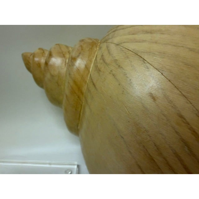 Brown Late 20th Century Sarreid Ltd. Style Large Carved Wood Conch Shell Sculpture on Acrylic Base For Sale - Image 8 of 18