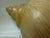 Brown Late 20th Century Sarreid Ltd. Style Large Carved Wood Conch Shell Sculpture on Acrylic Base For Sale - Image 8 of 18