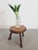 Mid-Century Modern Mid-Century Modern Brutalist Tree Trunk Side Table, 1960s For Sale - Image 3 of 7