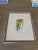 Set of three J. Linden chromolithograph antique flower prints, produced for L'Illustration Horticole in Brussels, Belgium...