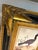 John James Audubon Vintage French Natural History Scientific Bird Reproduction Print Art & Gilded Wood Frame For Sale - Image 4 of 11