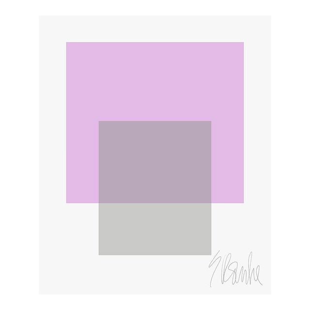 The Interaction of Lavender and Gray Fine Art Print 40" X 50" by Liz