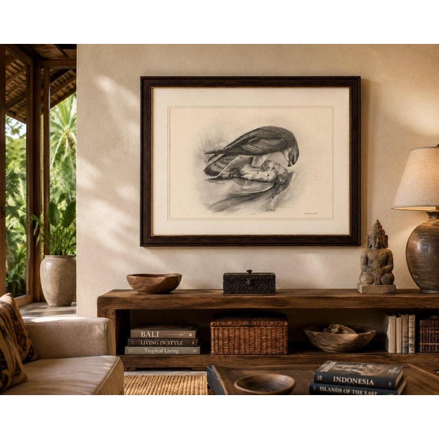 Antique Merlin Falcon with Prey Print by Lilian M. Medland, 1908 For Sale - Image 9 of 10