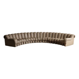 DS 600 Modular Sofa in Leather by Heinz Ulrich, Ueli Berger and Eleanora Peduzzi-Riva for de Sede, 1970s, Set of 22 For Sale