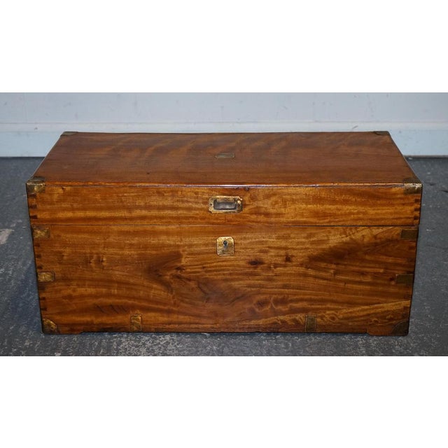 Antique English Camphor Wood Storage Trunk, 19th Century For Sale - Image 3 of 18