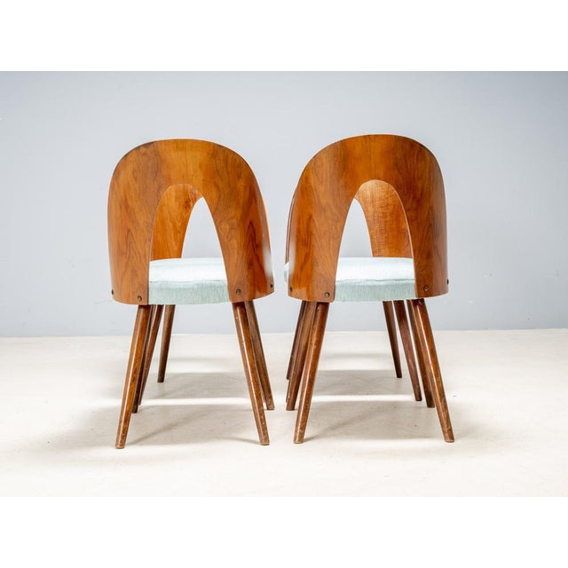 Dining Chairs by Antonín Šuman for Tatra Furniture, Czechoslovakia, 1960s, Set of 4 For Sale - Image 4 of 13