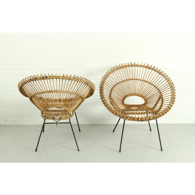 1950s Set of Vintage Sunburst Chairs from Rohé Noordwolde, 1950s For Sale - Image 5 of 17