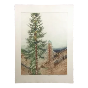 1980s "Timberline II" Signed Numbered Realistic Etching of Pine Trees by Catherine O'Connor