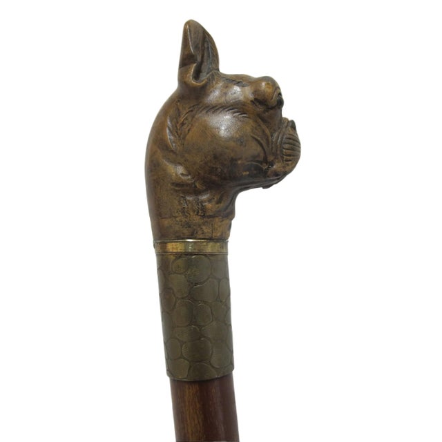 Victorian Victorian Bulldog Dog Head With Realistic Eyes Carved Wood Walking Stick Cane For Sale - Image 3 of 12