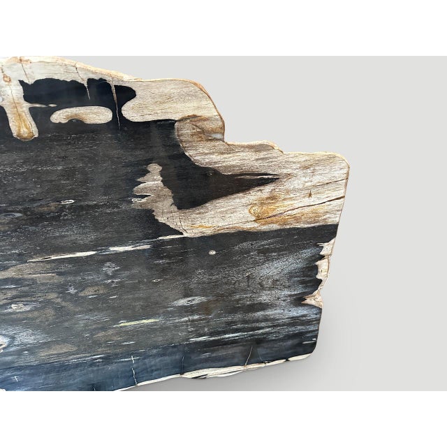 Andrianna Shamaris Live Edge Single Slab HighQuality Petrified Wood Dining Table For Sale - Image 4 of 18