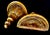 These decorative wall-mounted urns feature a classic Italian design finished in a gold leaf gilt style. Their semicircular...