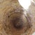 Antique Terracotta Jar, 19th Century For Sale - Image 6 of 10
