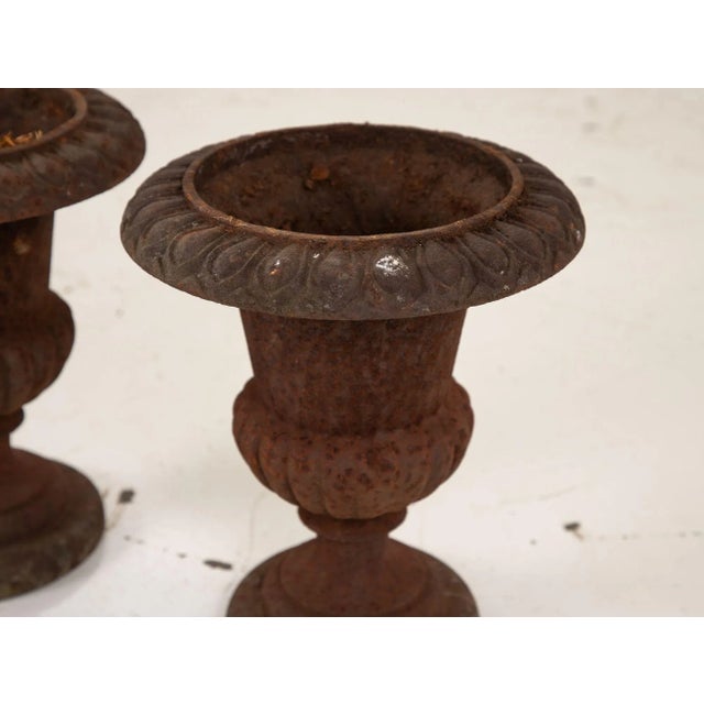 Mid 19th Century Pair of Cast Iron Urns, French 19th Century For Sale - Image 5 of 13