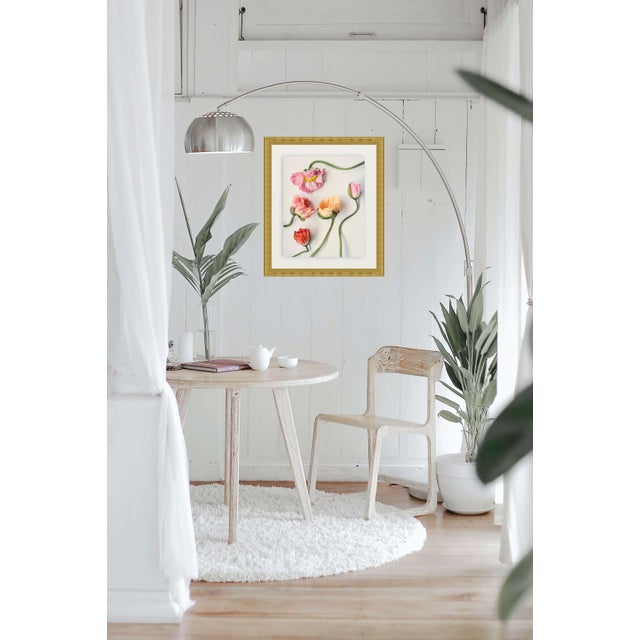 5 Color Pastel Poppies For Sale - Image 4 of 6