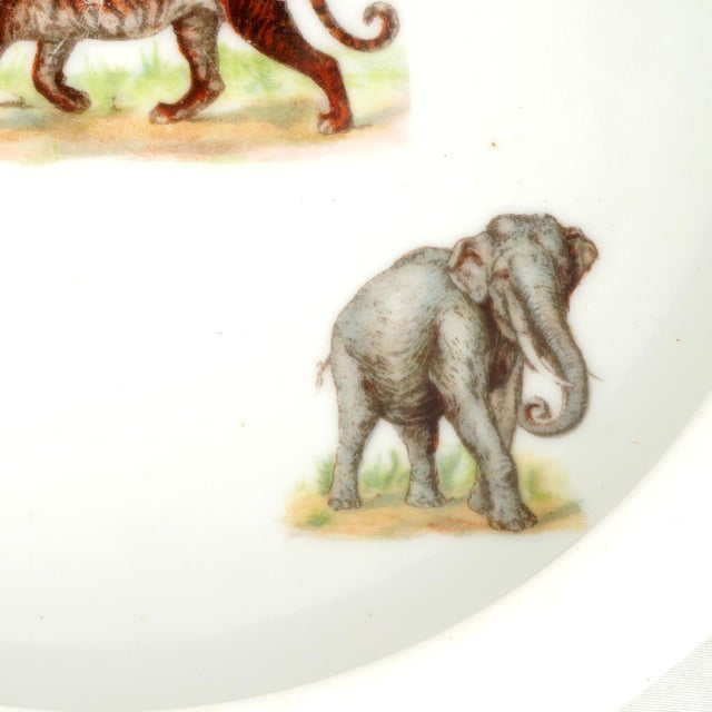 Three Crowns Antique German Illustrated Child's Dish Animal Full Color Early 1900s For Sale - Image 4 of 10