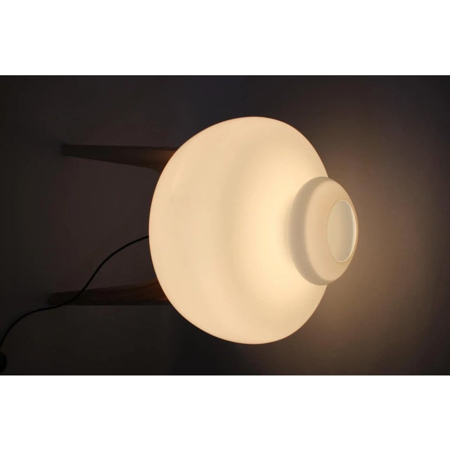 Oak Floor Lamp from Uluv, Czechoslovakia, 1970s For Sale - Image 10 of 11